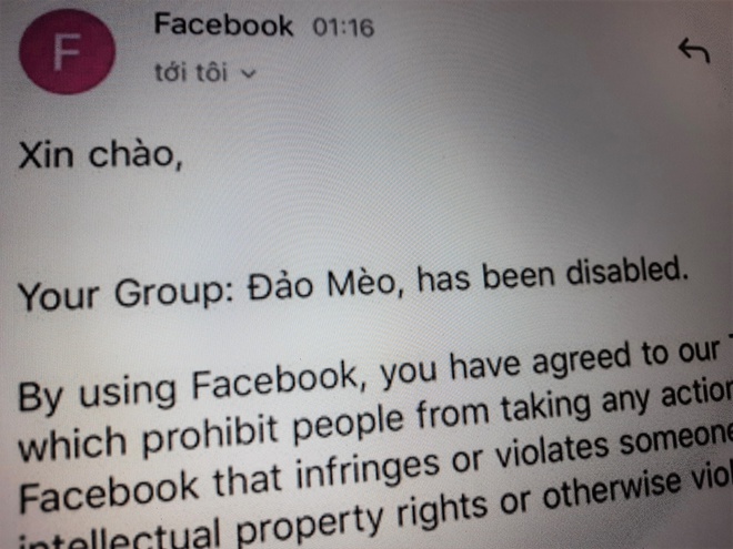 Email thông báo xóa nhóm Đảo Mèo của Facebook.