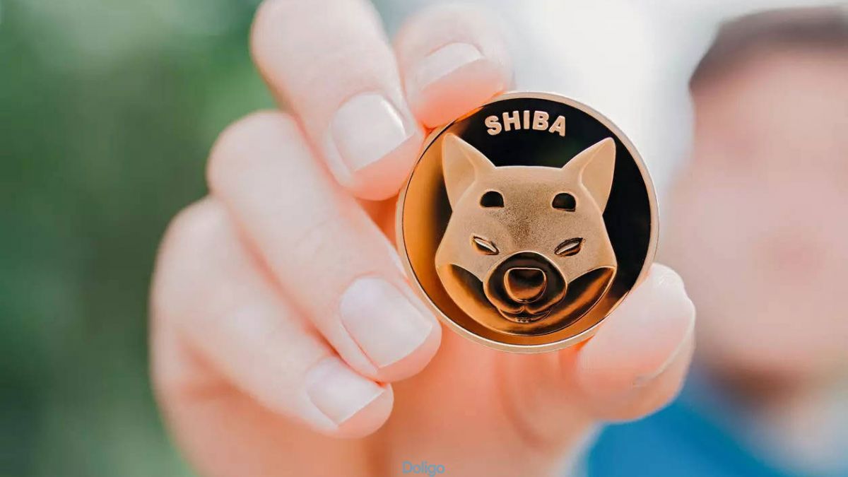 Giá Shiba Inu (SHIB) tăng 400% trong một tuần, trở thành đồng tiền mã hóa lớn thứ 15 thế giới