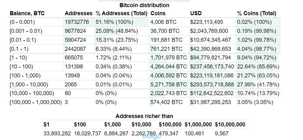 Xếp hạng phân bổ Bitcoin vào các ví. Nguồn: Bitinfocharts.com